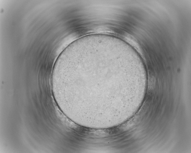 X0000086941338200705071408