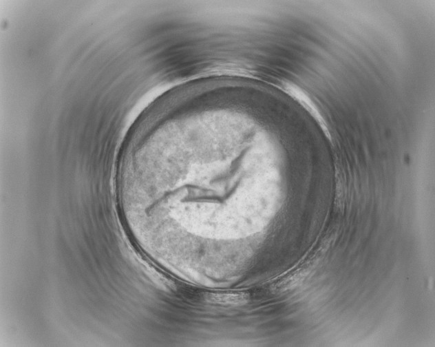 X0000086941339200705071408