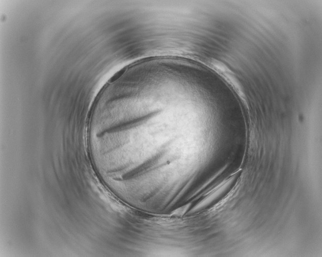 X0000086941340200705071408