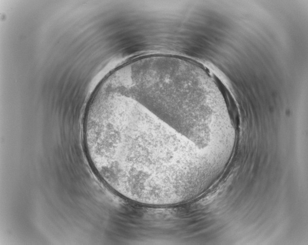 X0000086941341200705071408