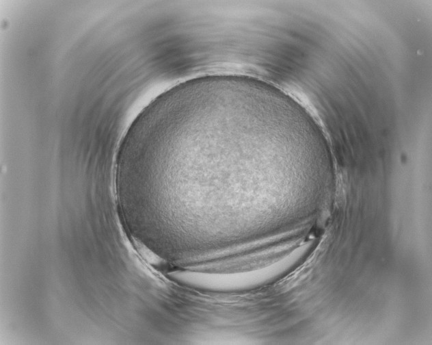 X0000086941342200705071408