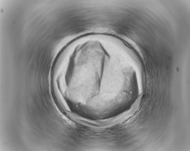 X0000086941343200705071408