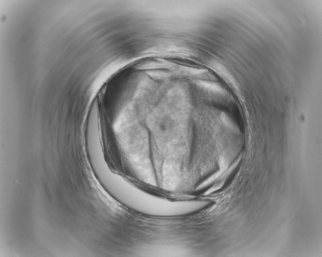 X0000086941344200705071408