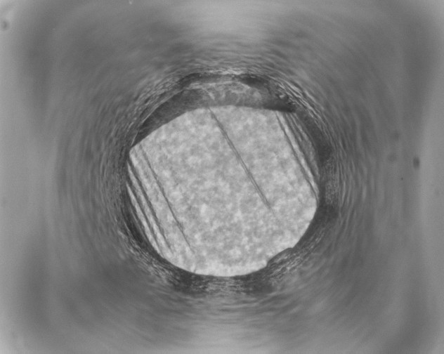 X0000086941345200705071408