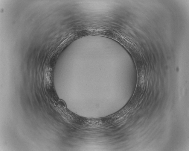 X0000086941346200705071408