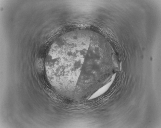 X0000086941347200705071408