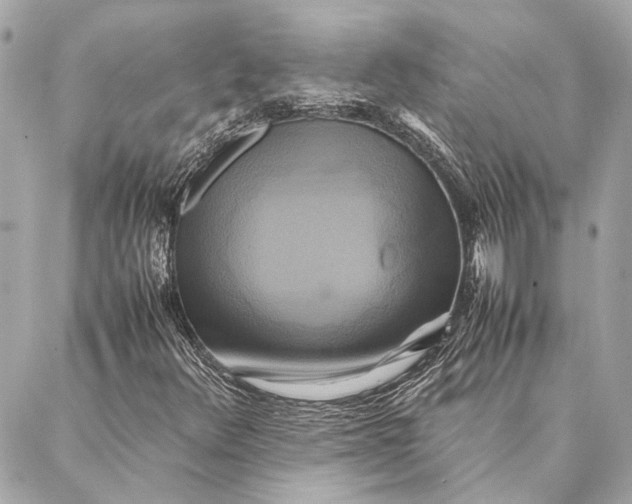 X0000086941348200705071408