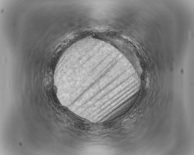 X0000086941349200705071408