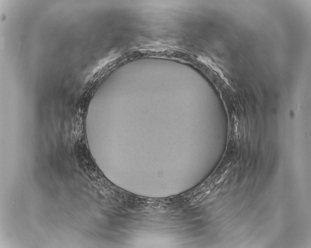 X0000086941350200705071408