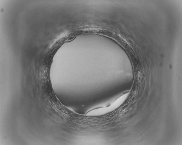 X0000086941351200705071408