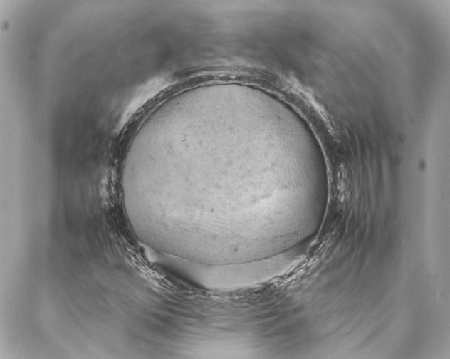 X0000086941352200705071408