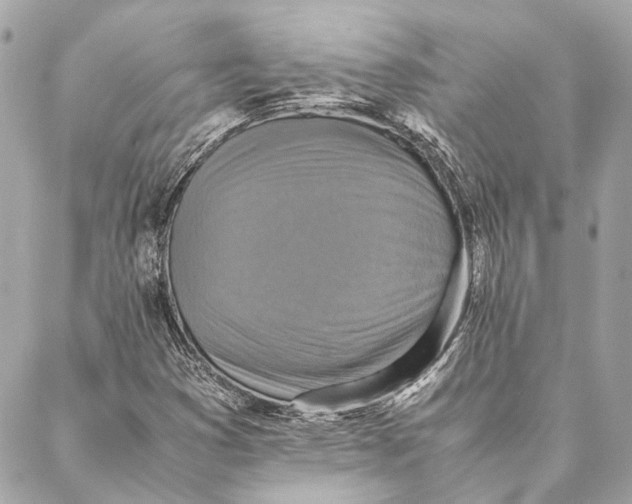 X0000086941353200705071408