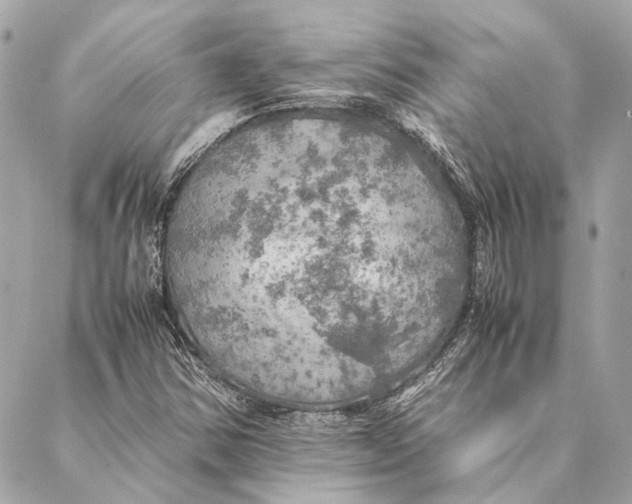 X0000086941354200705071408