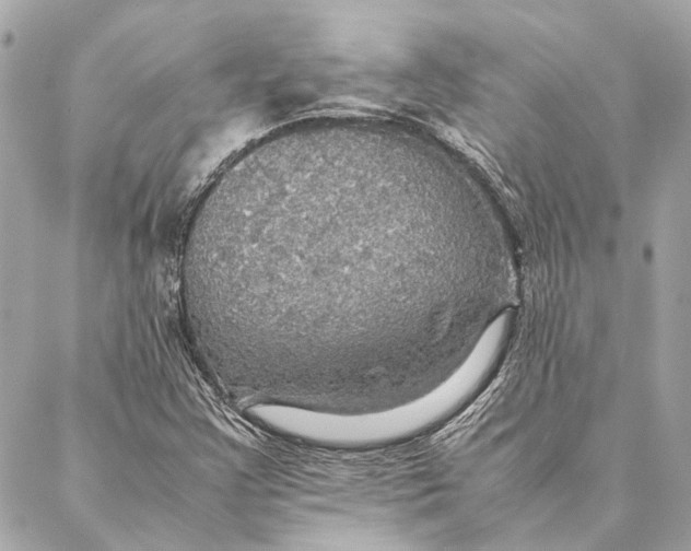 X0000086941355200705071408