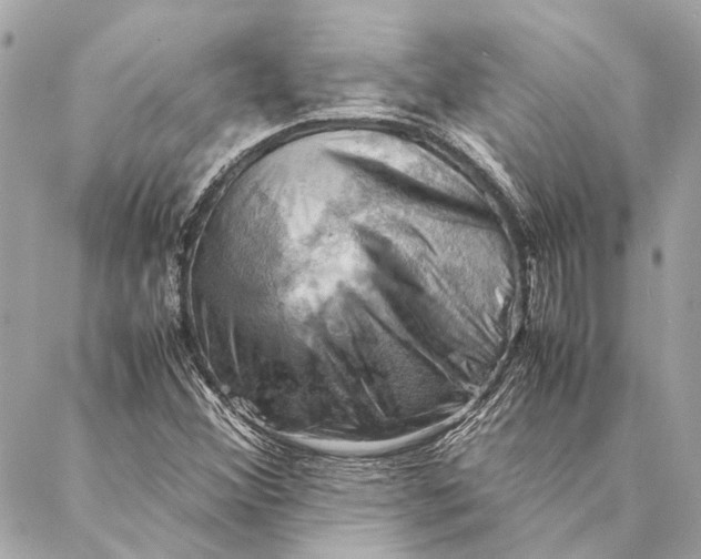 X0000086941356200705071408