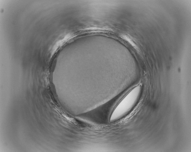 X0000086941357200705071408