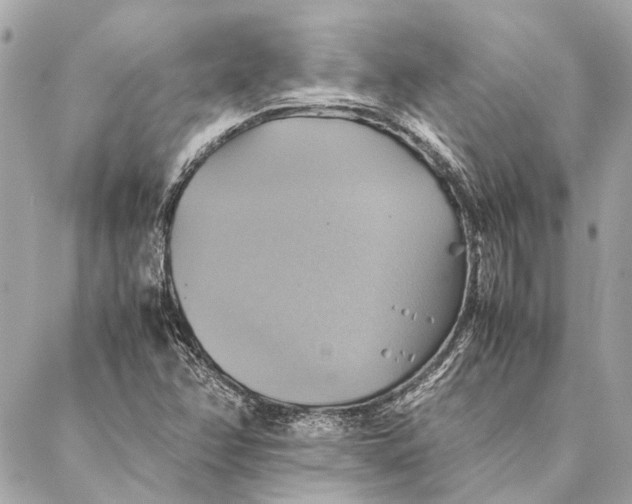 X0000086941358200705071407