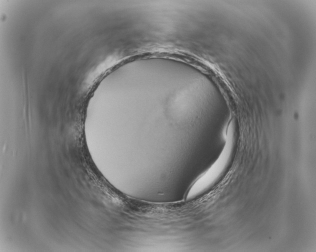 X0000086941359200705071407