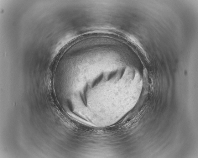 X0000086941360200705071407