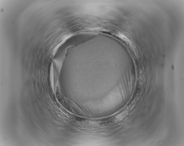 X0000086941361200705071407