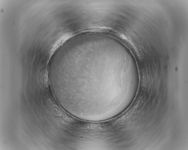 X0000086941362200705071407