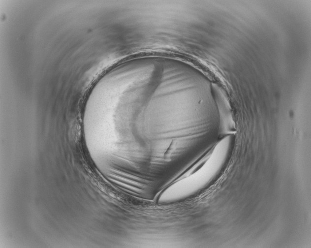 X0000086941363200705071407