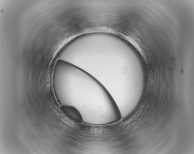 X0000086941364200705071407