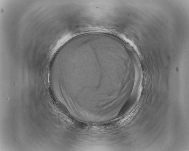 X0000086941365200705071407