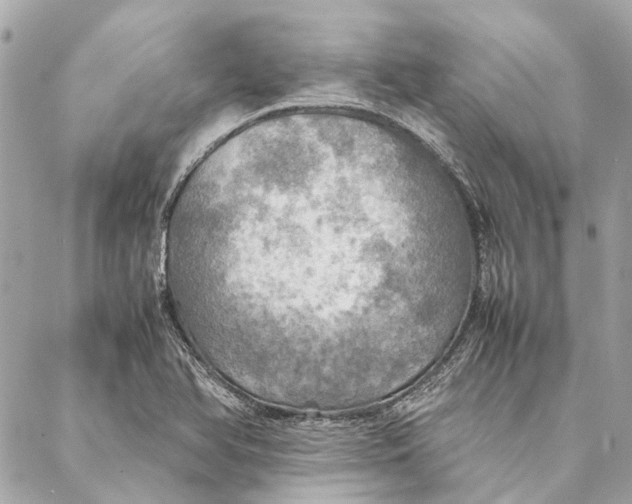 X0000086941366200705071407