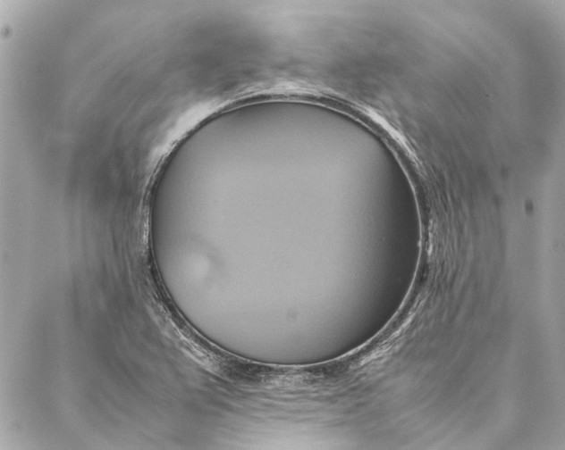 X0000086941367200705071407