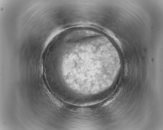 X0000086941368200705071407