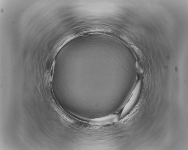 X0000086941369200705071407