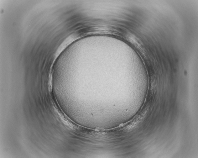 X0000086941370200705071407