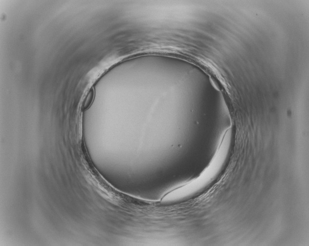 X0000086941371200705071407