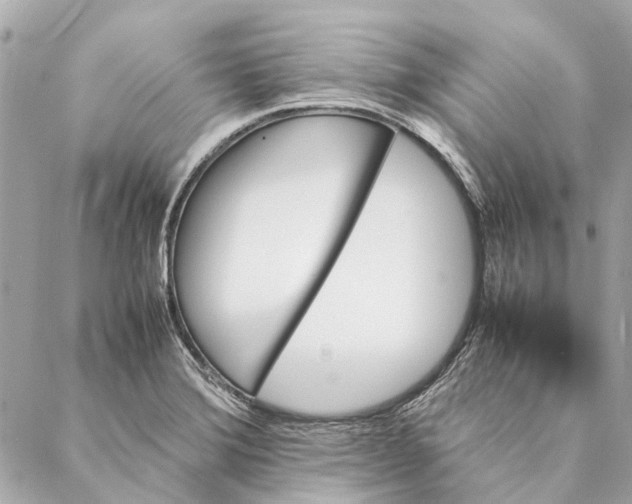 X0000086941372200705071407