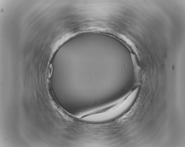 X0000086941373200705071407