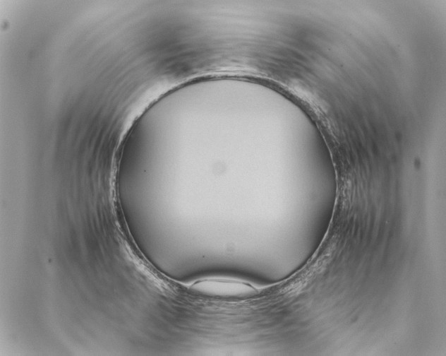 X0000086941374200705071407