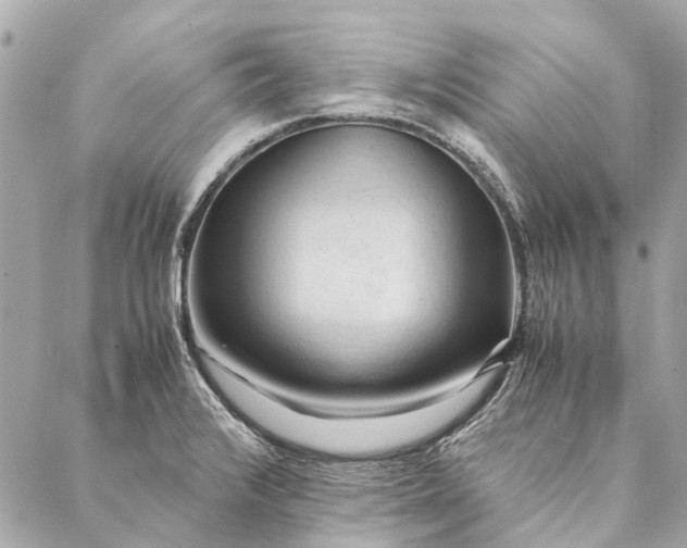 X0000086941376200705071407