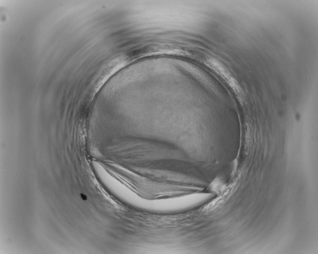 X0000086941377200705071407