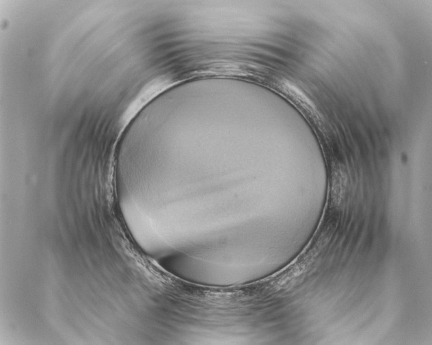 X0000086941378200705071407