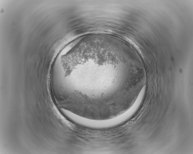 X0000086941379200705071407