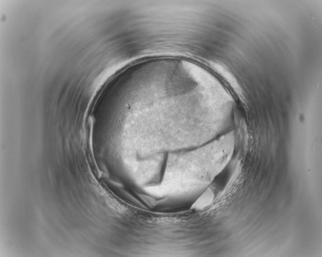 X0000086941380200705071407