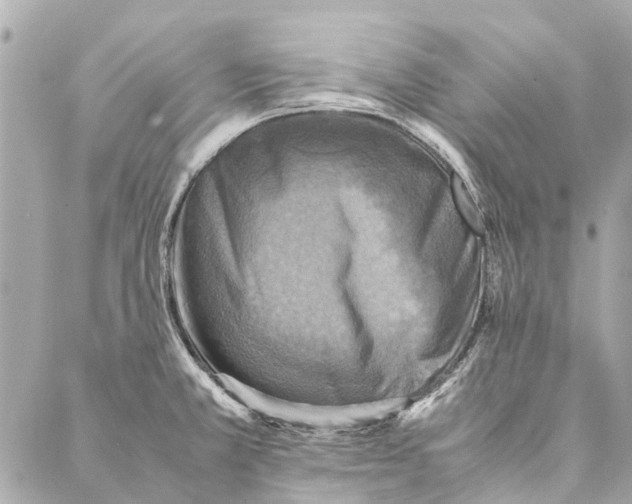 X0000086941381200705071407