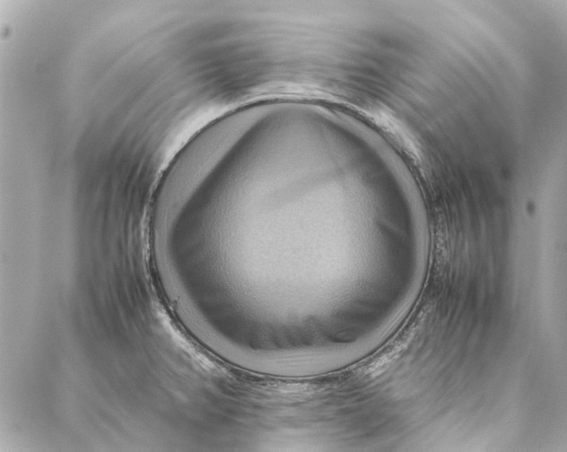 X0000086941382200705071407