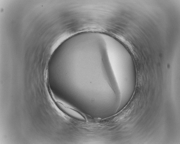 X0000086941383200705071407