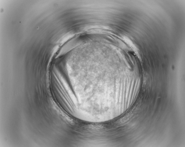 X0000086941384200705071407