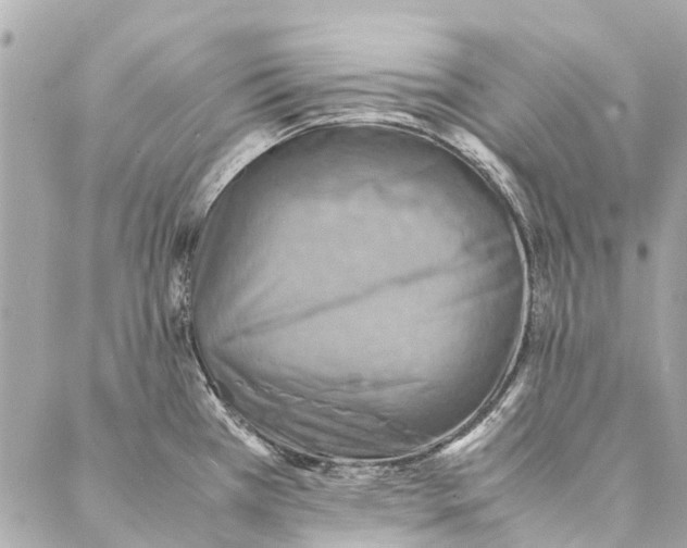 X0000086941385200705071407