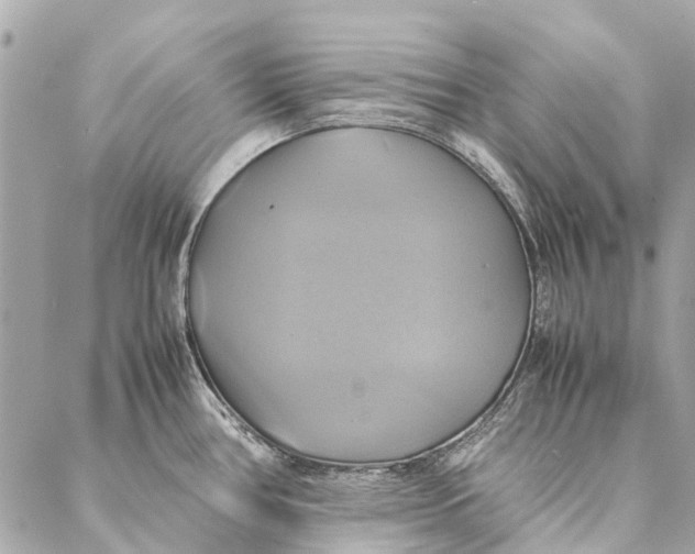 X0000086941386200705071407