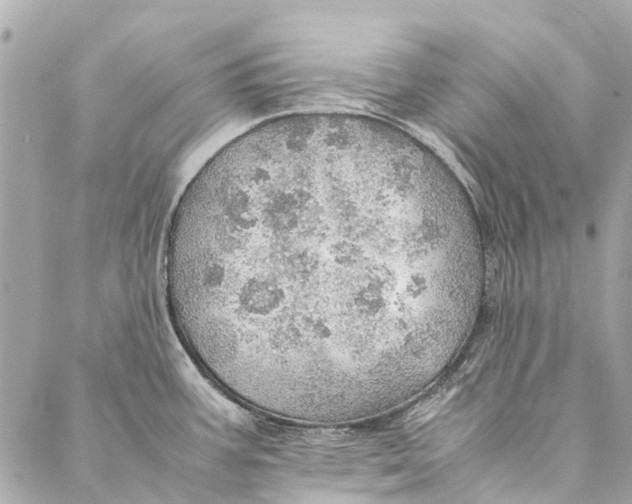 X0000086941387200705071407