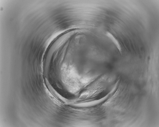 X0000086941388200705071407